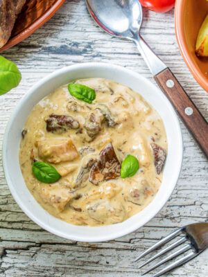 Creamy Porcini Mushroom Sauce
