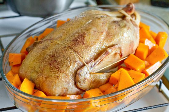 Duck with squash